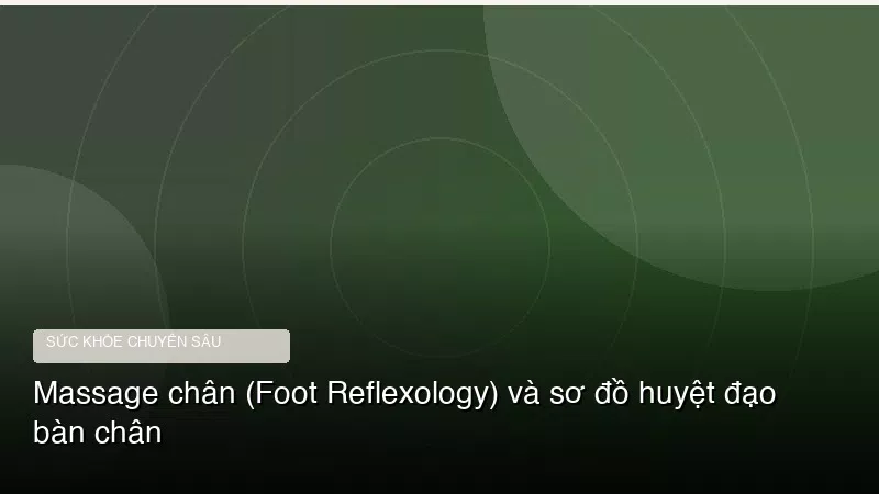 Phân tích y khoa hình ảnh Massage chân (Foot Reflexology) và sơ đồ huyệt đạo bàn chân